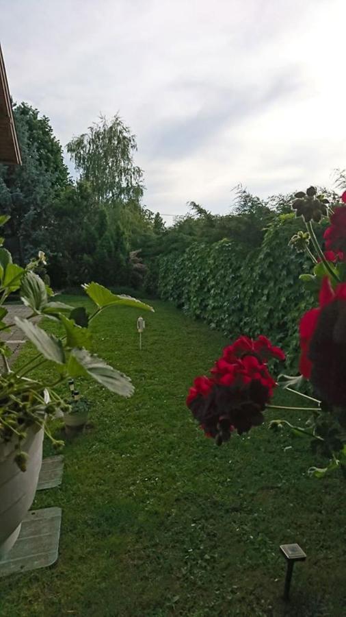 Liliana Vendeghaz Διαμέρισμα Balatonfůzfő Εξωτερικό φωτογραφία